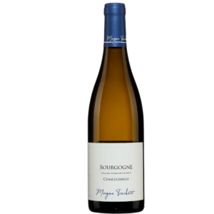 Domaine Truchetet Bourgogne Chardonnay 2023  1x75cl