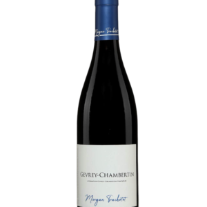 Domaine Truchetet Gevrey Chambertin 2023  1x75cl